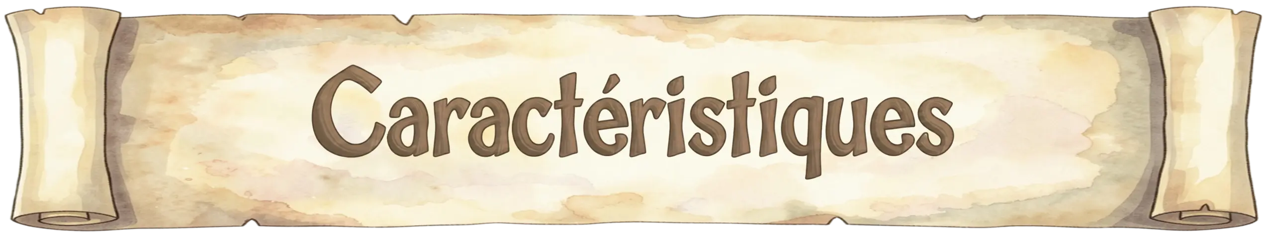 Caractéristiques du jeu